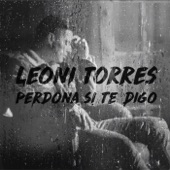 Perdona Si Te Digo (Remix) artwork