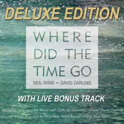 Where Did the Time Go (Deluxe Edition) by Neil Tatar & David Darling album reviews, ratings, credits