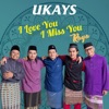 I Love You I Miss You Raya - Single