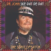 Ske-dat-de-dat: The Spirit of Satch artwork