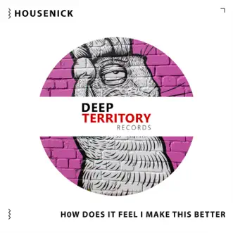 How Does It Feel / Make This Better - Single by Housenick album reviews, ratings, credits