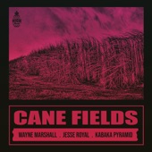 Wayne Marshall;Jesse Royal;Kabaka Pyramid;Natural High Music - Cane Fields
