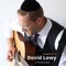 A Perfect Boe - Dovid Lowy lyrics