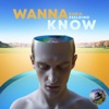 Wanna Know - Single