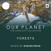 Forests (Episode 8 / Soundtrack From the Netflix Original Series "Our Planet") artwork