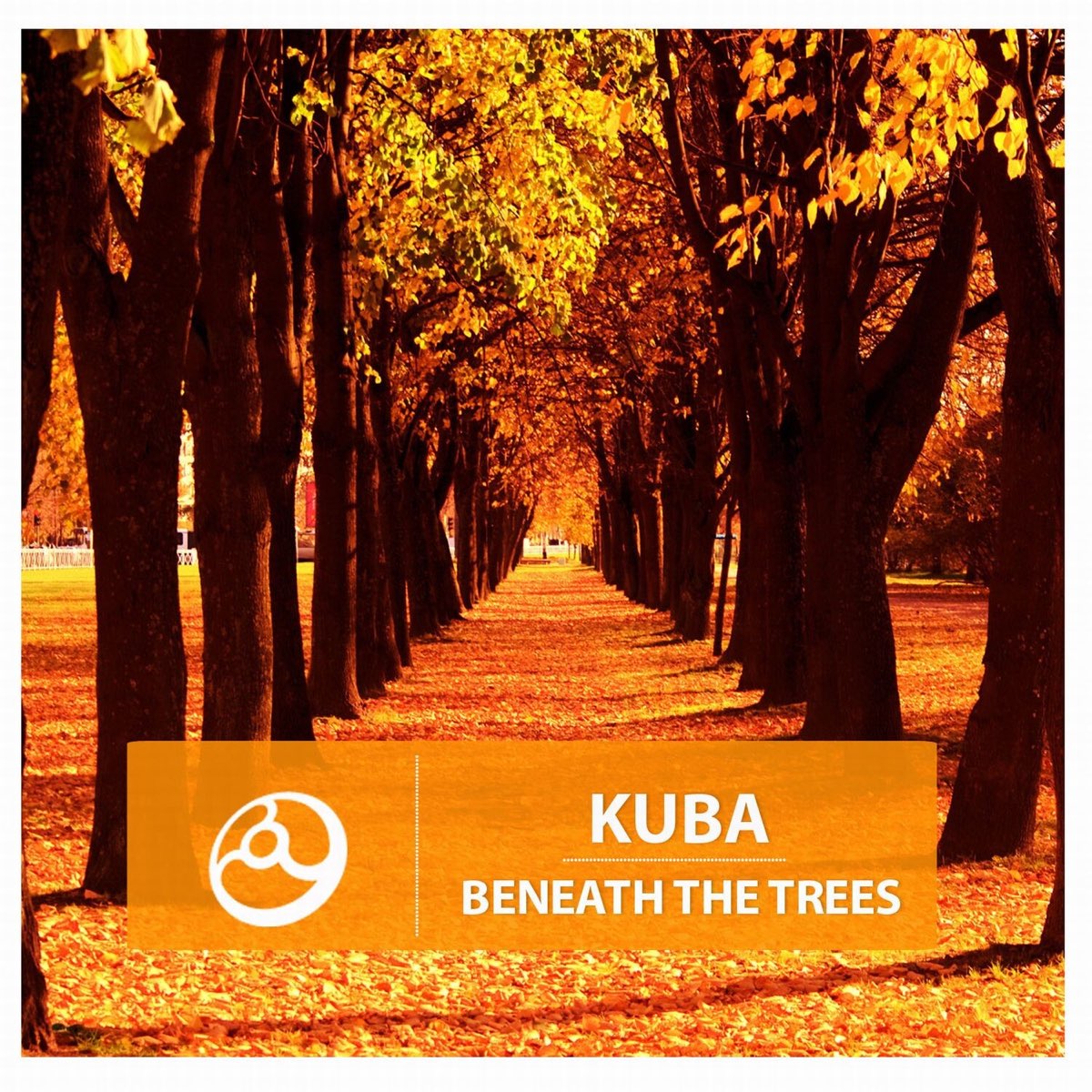 Beneath the trees where nobody. Beneath the Tree. Kuba дискография. Phreaq - Falling (Kuba Remix.