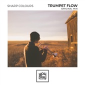 Trumpet Flow artwork
