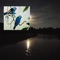 Vervain Veins - Dame Cook lyrics