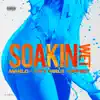 Soakin Wet (feat. City Girls & Offset) - Single album lyrics, reviews, download