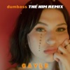dumbass (The Him Remix) - Single, 2020