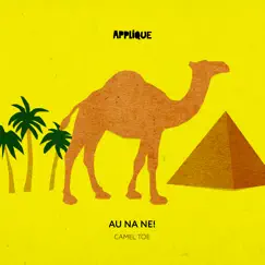 Camel Toe Song Lyrics