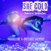 She Cold (feat. Dopeboy Herron) - Single album lyrics, reviews, download