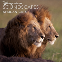 Disneynature Soundscapes - Disneynature Soundscapes: African Cats artwork