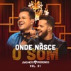 Onde Nasce o Som, Vol. 1 (ao Vivo)