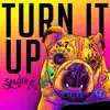 Stream & download Turn It Up