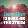 Riders On the Storm (Remixes)
