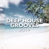 Deep House Grooves 2019 artwork