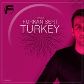 Turkey artwork