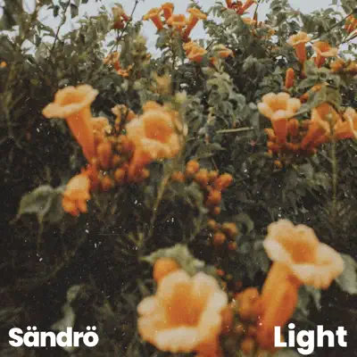 Light - Single - Sandro