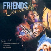 Friends in Concert (feat. Lucky Dube) artwork