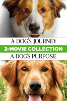 Universal Studios Home Entertainment - A Dog's Journey & A Dog's Purpose artwork