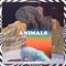 Animals - La Felix Remix - La Felix & The Shadowboxers lyrics