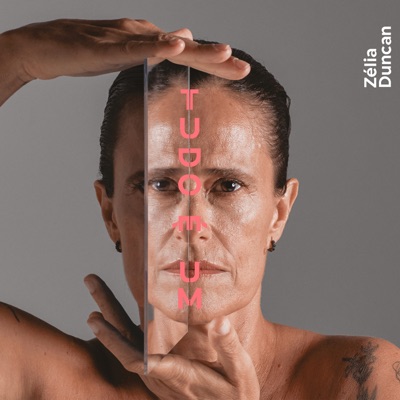 Tudo É Um - Zélia Duncan