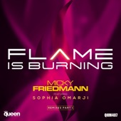 Flame Is Burning (feat. Sophia Omarji) artwork