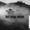 Not Your Enemy - Single, 2019