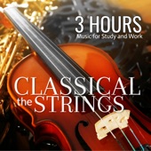 Classical Strings: 3 Hours of Music for Study and Work artwork