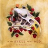 In the Shell of the Old - EP