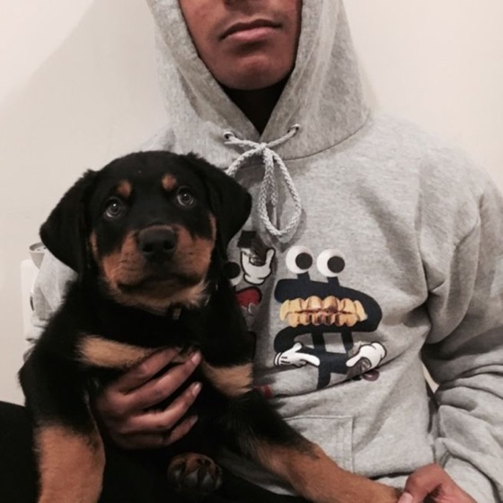 Cover artwork for Boyband