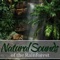 Nature Sound - Ismaël Khan lyrics
