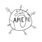 Amen!! - Fitness lyrics