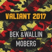 Valiant 2017 artwork