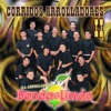 Corridos Arrolladores II