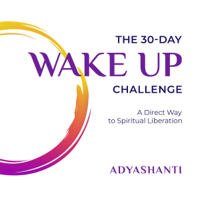 Adyashanti - The 30-Day Wake Up Challenge: A Direct Way to Spiritual Liberation (Original Recording) artwork