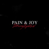 Pain & Joy artwork