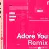 Adore You (HAAi Remix) - Single