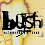 Bush - Swallowed