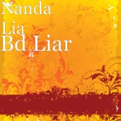 Bd Liar artwork