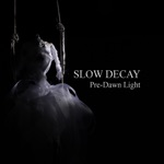 Slow Decay - The Silence