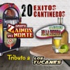 20 Éxitos Cantineros