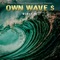 Own Wave $ artwork