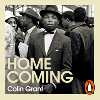 Colin Grant - Homecoming artwork