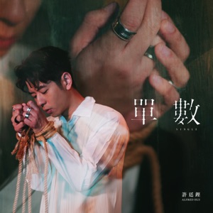 单数 - Single