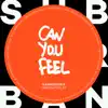 Can You Feel - Single album lyrics, reviews, download