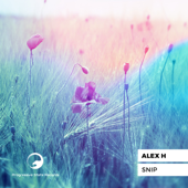 Snip (Luvmac Remix) - Alex H.