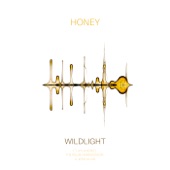 Honey (feat. The Polish Ambassador, Ayla Nereo & Jesse Klein) artwork