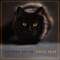 Cosis Trap - Dietmar Holch lyrics